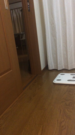 ウリ動画(((o(*ﾟ▽ﾟ*)o)))の記事動画
