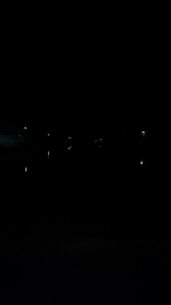 桜三姉妹の記事動画