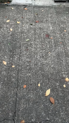 OKS撮影スポット探し！の記事動画