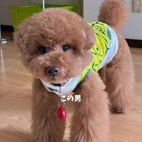 プロニートの画像