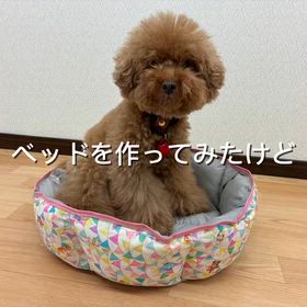 思てたんとちがーう！の画像