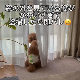 たたずむ空悟の画像