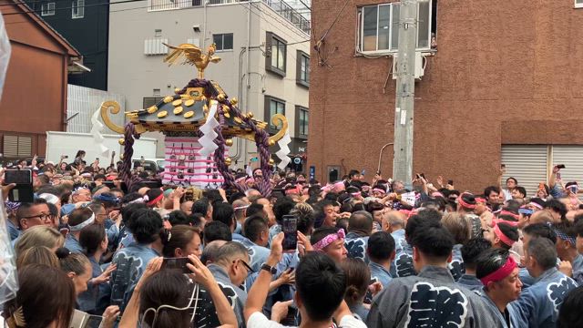 2024  浅草　三社祭の記事動画