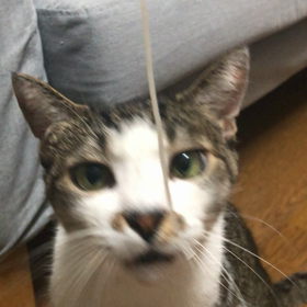 夏の春生さんの画像