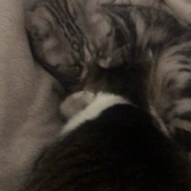 目覚ましの音の画像