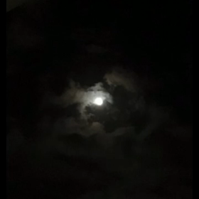 8月26日木曜日❤️の画像