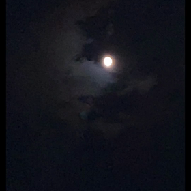 8月20日金曜日❤️の画像