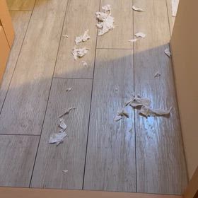 悪さをするのは決まってますが…の画像