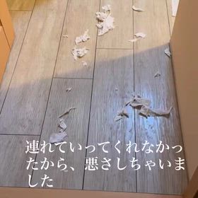 2026/05/26の画像