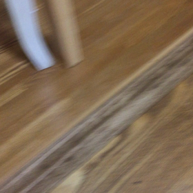 お座りするねこたんの画像