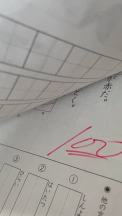 2024年掲げた親子の学習目標達成‼️の記事動画