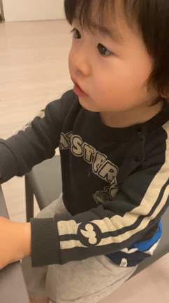 MISIAを尊敬する2歳の記事動画