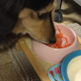 にんじんの画像