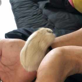 お掃除の画像