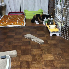 もぐもぐの画像