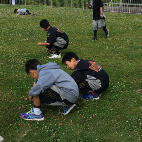 幸せを呼ぶ四つ葉のクローバーの画像