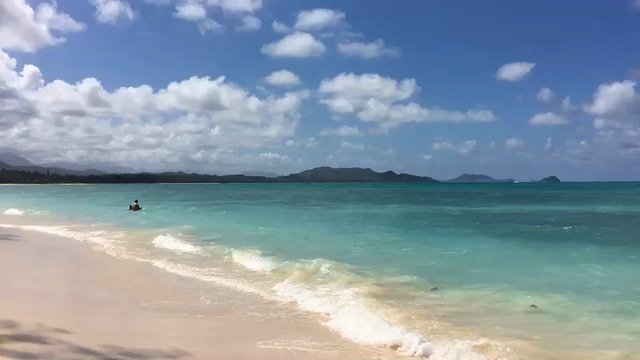 ハワイの海、気持ちよさそうの記事動画