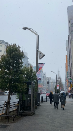 雪だけどの記事動画