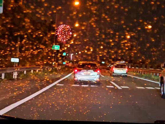 花火の記事動画