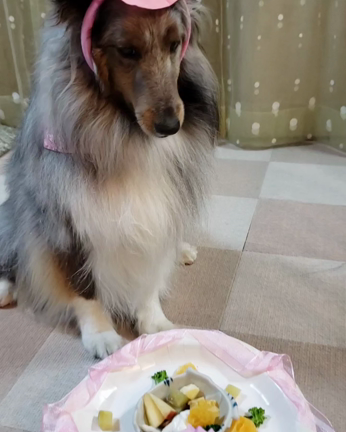 恋ちゃん誕生日の記事動画