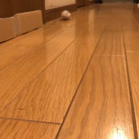 コロナワクチン1回目の画像