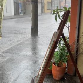 恵の雨☂️☂️☂️❣️………だがしかし❣️の画像
