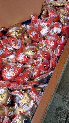 新潟滞在　2日目～白山神社～の記事動画