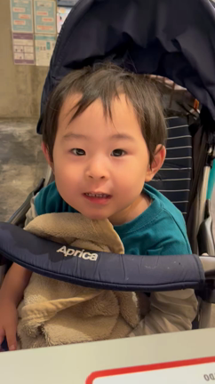 ２歳８ヶ月の天才児の記事動画