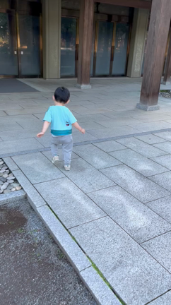 早朝のつぶやき（これから二度寝）の記事動画