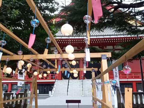 夏詣の記事動画