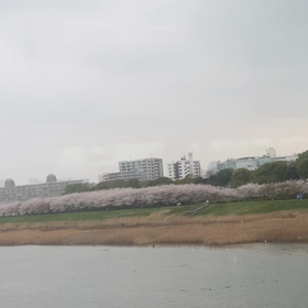 権利落ち日の画像