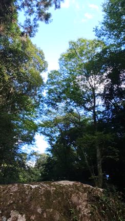 【夫は戦力外】やっぱり山と川が好き。の記事動画