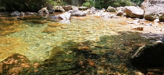 夏の川遊びに癒される。の記事動画