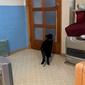 すごっの画像
