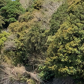 癒されますの画像