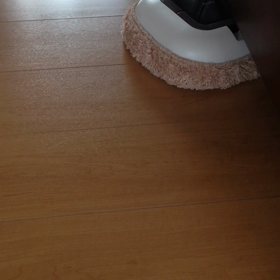 モーファの画像