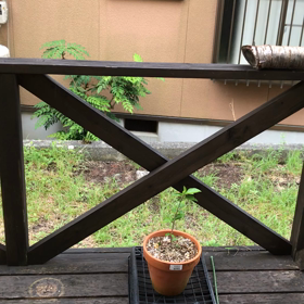 珍しく動画、だって雨音が欲しかったからの画像