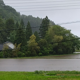 久々の雨に心が落ち着く朝の画像