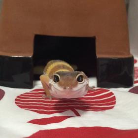 悩みの画像