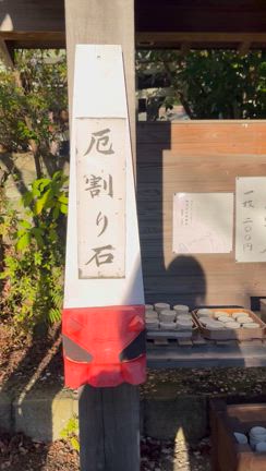 紅天井　鎌倉宮の記事動画
