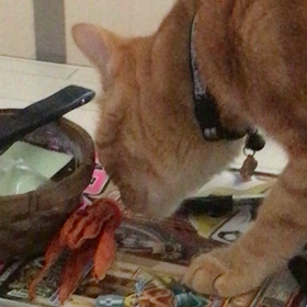 日付けかわったから（笑）の画像