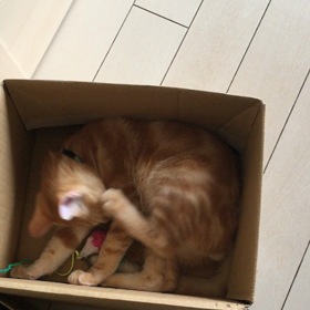 ルンルンひとり遊びの画像
