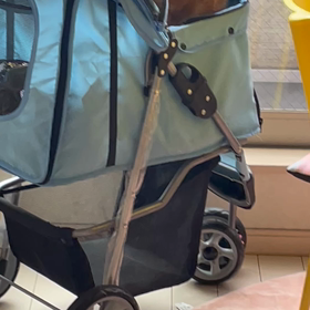 食欲の秋？の画像