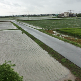田舎の朝 大雨注意報の画像