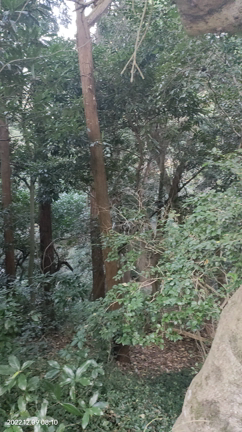 こころの記事動画