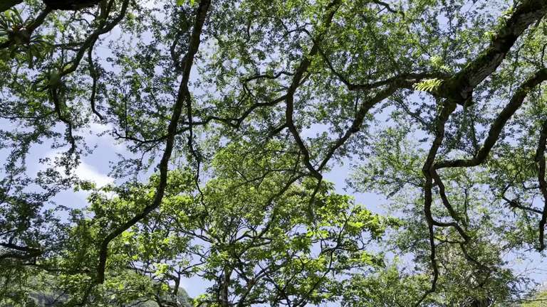 旅先でカーナビを使う時は、ぜひともお気をつけて＆癒され度満点の場所で、ちょっと動画を…の記事動画