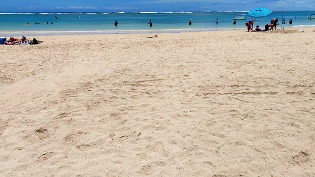 今日もアラモアナは海日和！の記事動画
