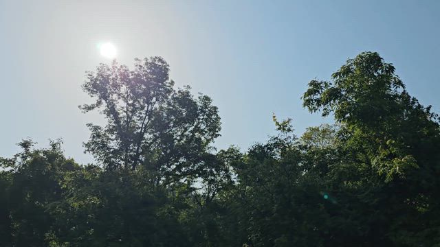 [ハワイ]　心打たれる美しい日本の記事動画