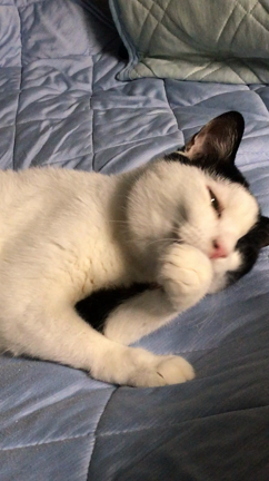 眉間にシワが(@_@)の記事動画