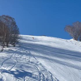 36日目飛騨ほうのき平スキー場動画編の画像